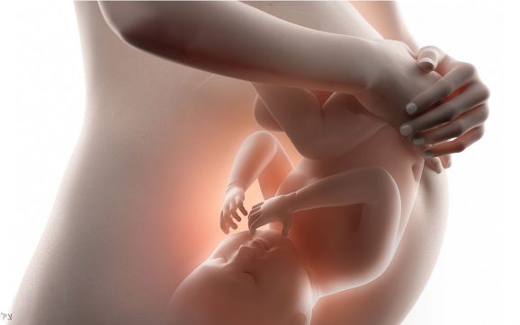 GenomiT בדיקה חדשנית בשבוע 10 להריון